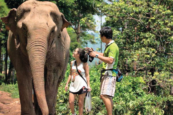 「泰」有愛——照顧大象體驗