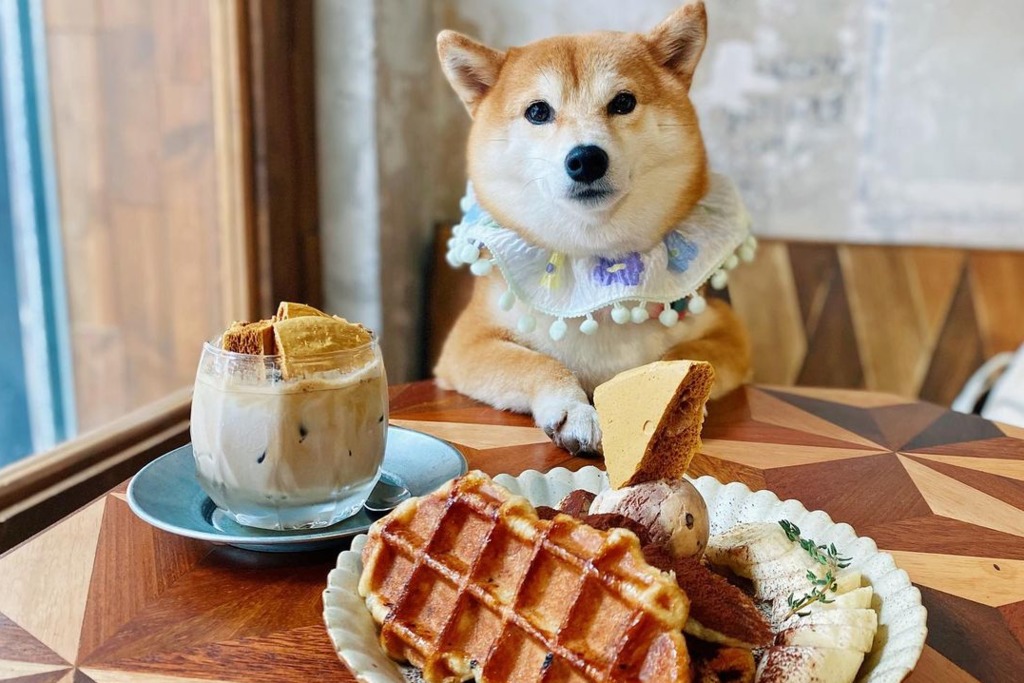 元朗美食 元朗新開型格木系cafe By The O 蟹肉明太子忌廉意粉 Tiramisu牛角包窩夫 脆脆焦糖咖啡 U Food 香港餐廳及飲食資訊優惠網站