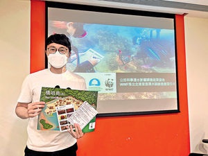 港潛水員年均觸碰20萬次 或損珊瑚結構