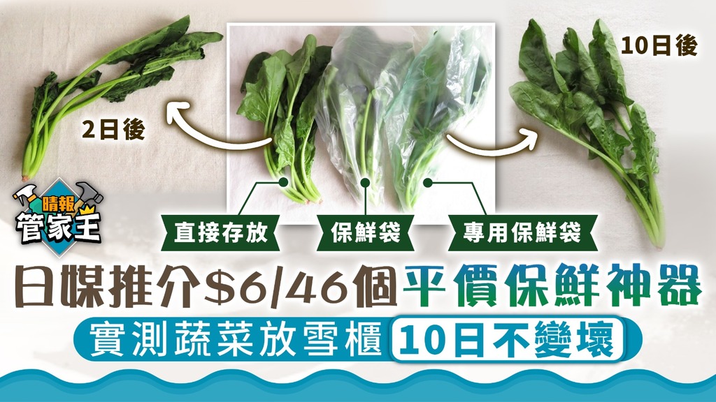 管家王 ︳日媒推介$6/46個平價保鮮神器 實測蔬菜放雪櫃10日不變壞