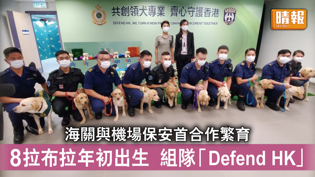 機場保安 │ 海關與機場保安首合作繁育犬 8隻拉布拉年初出生組隊名「Defend HK」