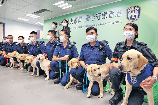 海關首夥機場保安繁育 8拉布拉多搜查犬 組隊DEFEND HK