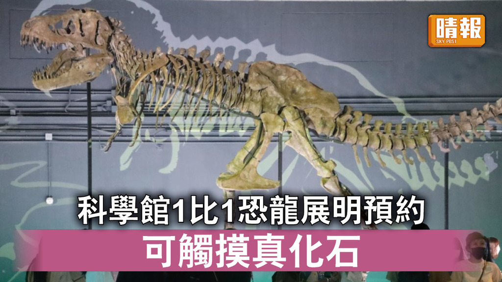 好去處｜科學館8大恐龍1比1展明開放預約 市民可觸摸真化石 （多圖）