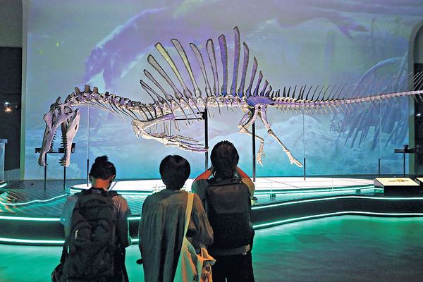 科學館恐龍展免費睇 8組1:1化石標本同場現身 今起可預約