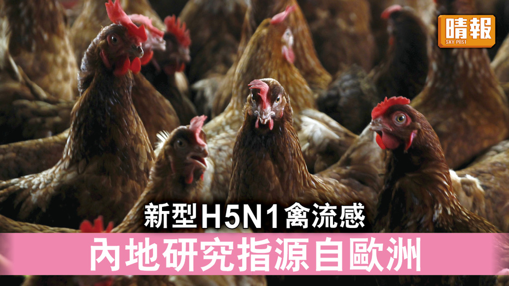 禽流感｜新型H5N1禽流感 內地研究指源自歐洲