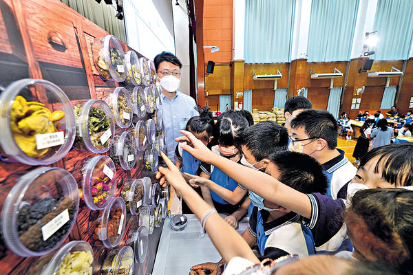 小學變身中醫館 全方位認識中醫藥