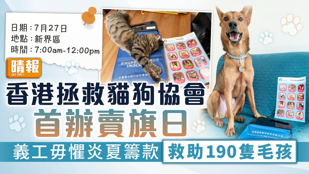 支持領養︳香港拯救貓狗協會首辦賣旗日 義工毋懼炎夏籌款救助190隻毛孩
