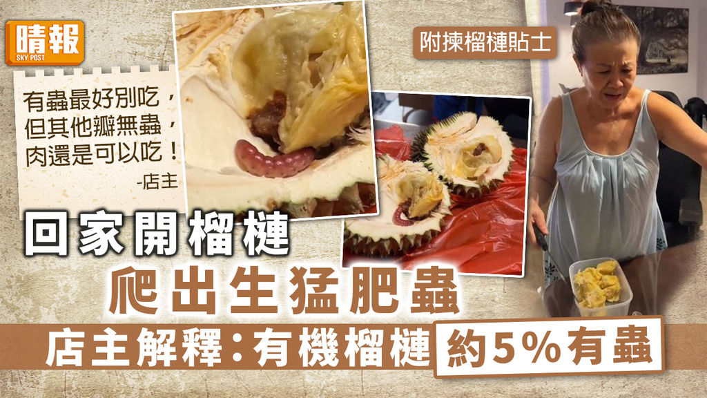 揀榴槤 ︳回家開榴槤爬出生猛肥蟲 店主解釋：有機榴槤約5%有蟲【附揀榴槤貼士】