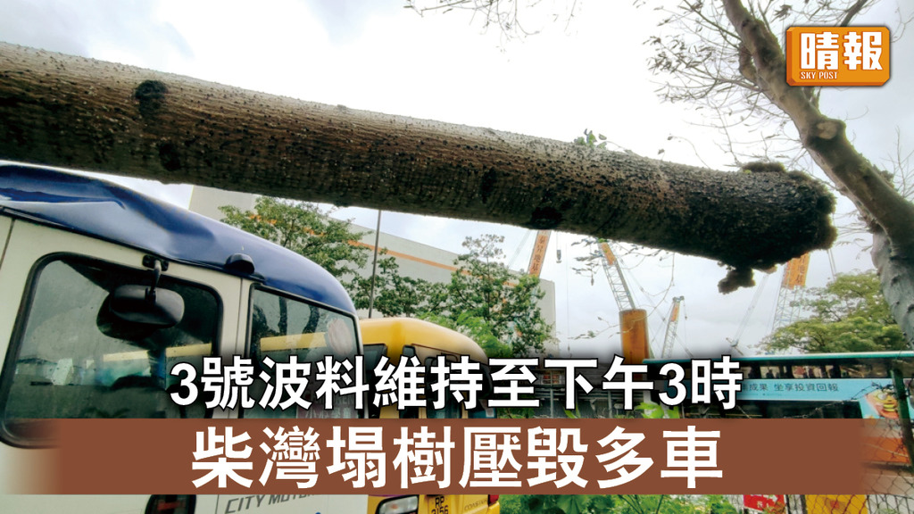 風暴消息｜天文台料3號波維持至下午3時 柴灣塌樹壓多車無人傷