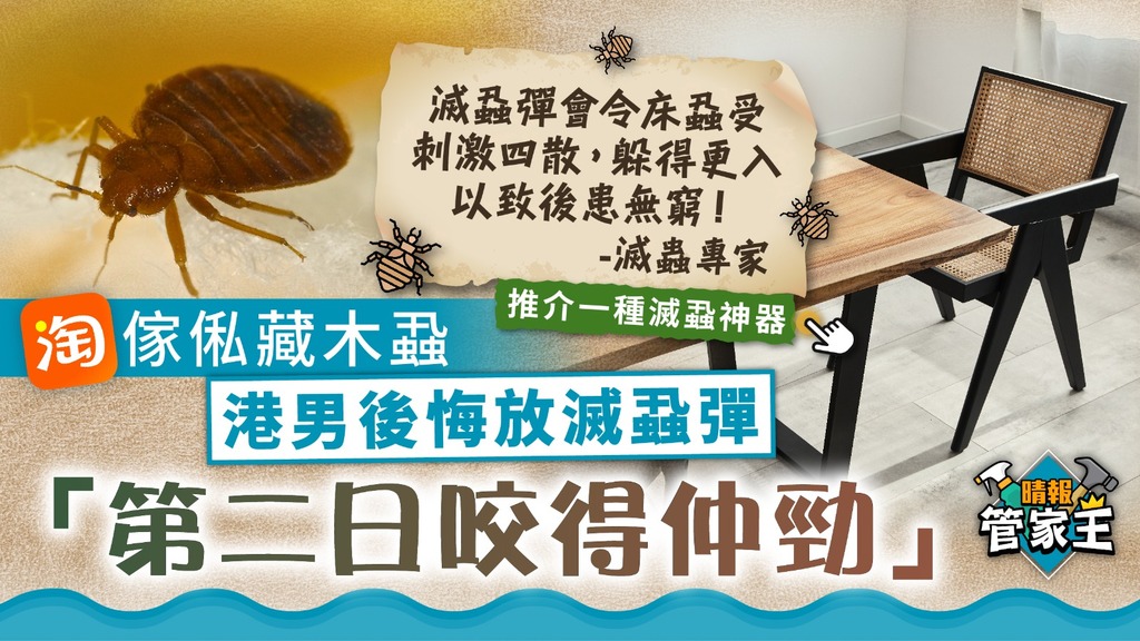 管家王 ︳淘傢俬藏木蝨 港男後悔放滅蝨彈：第二日咬得仲勁【專家推介滅蝨神器】