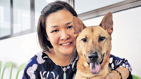 寵物需吸氧氣 主人怎選擇？