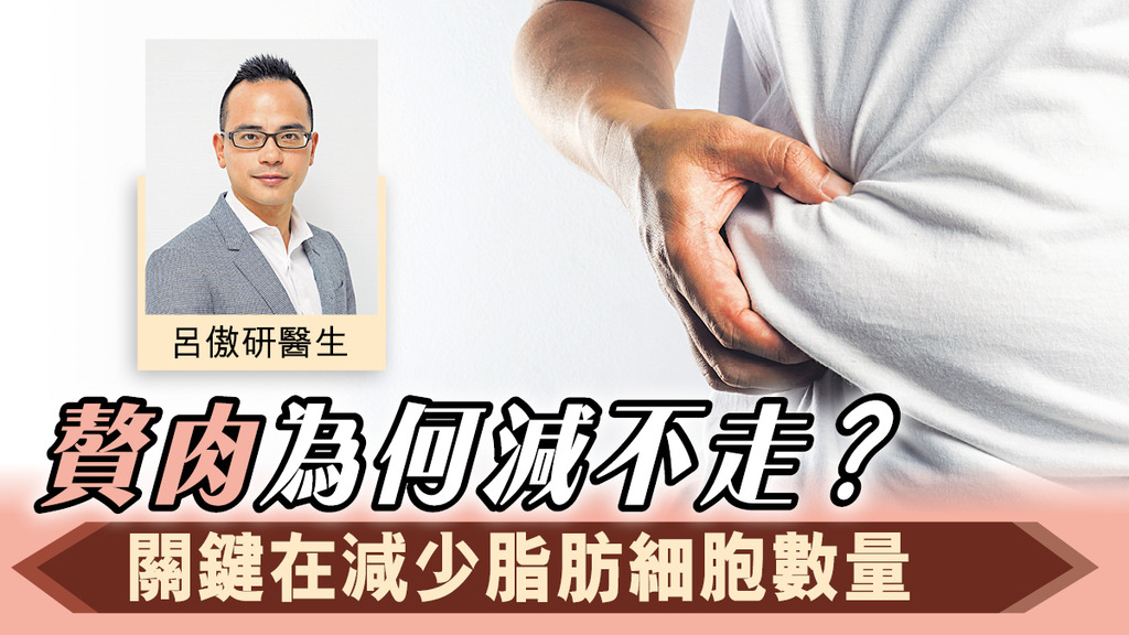贅肉為何減不走？關鍵在減少脂肪細胞數量