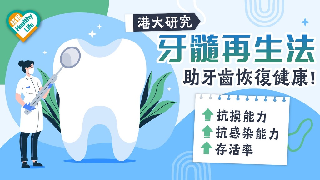 牙齒健康｜港大研究牙髓再生法 助牙齒恢復健康