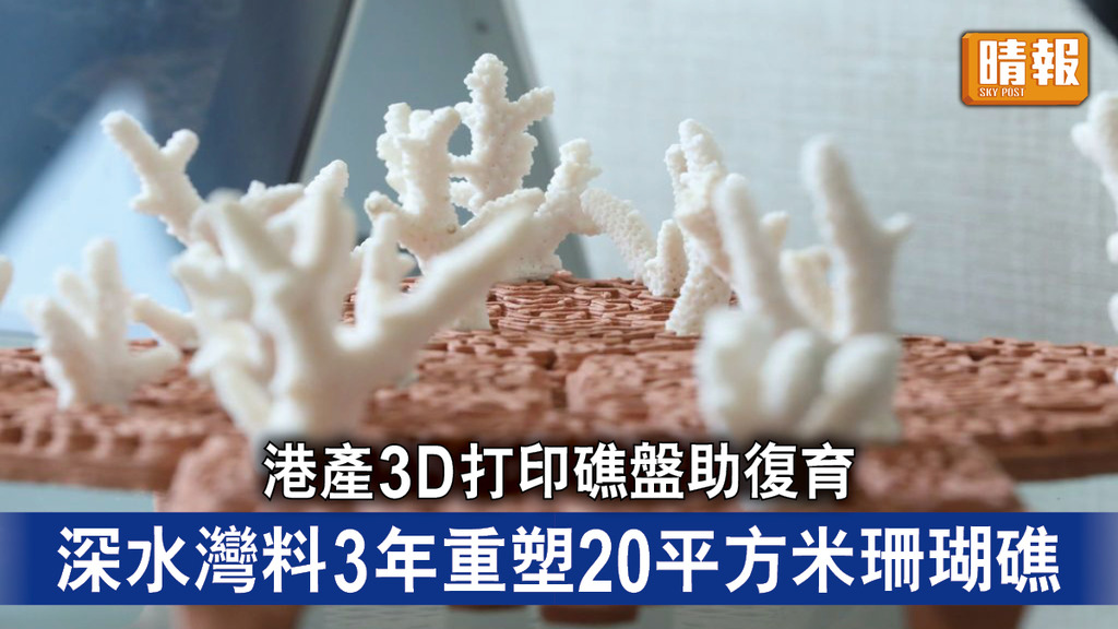 香港珊瑚｜港產3D打印礁盤助復育 深水灣料3年重塑20平方米珊瑚礁