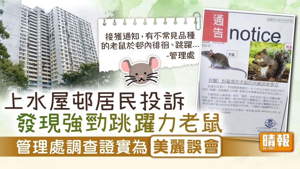 屋邨鼠患 ︳上水屋邨居民投訴發現強勁跳躍力老鼠 管理處調查證實為「美麗誤會」