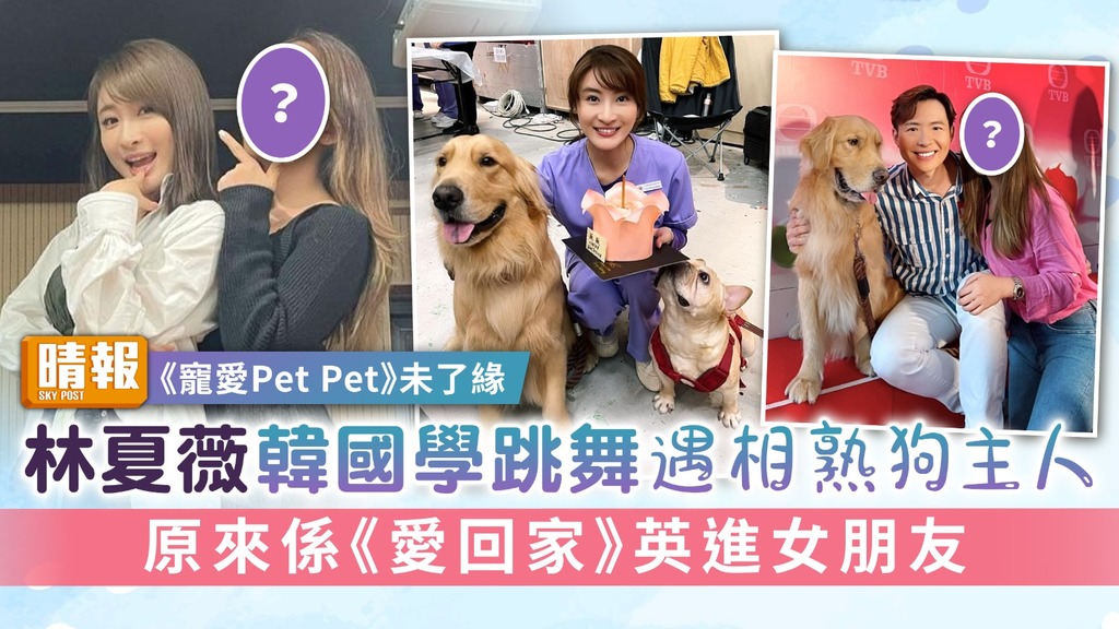 《寵愛Pet Pet》未了緣丨林夏薇韓國學跳舞遇相熟狗主人 原來係《愛回家》英進女朋友
