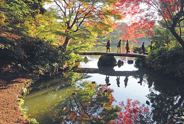 紅葉季節 東京3大賞楓景點