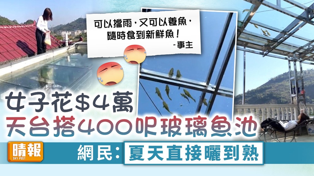 天台魚池 ︳女子花$4萬天台搭400呎玻璃魚池 網民：夏天直接曬到熟