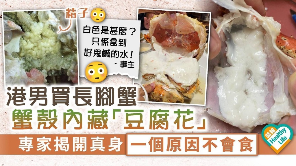 食用安全 ︳港男買長腳蟹內藏「豆腐花」 專家揭開真身一個原因不會食