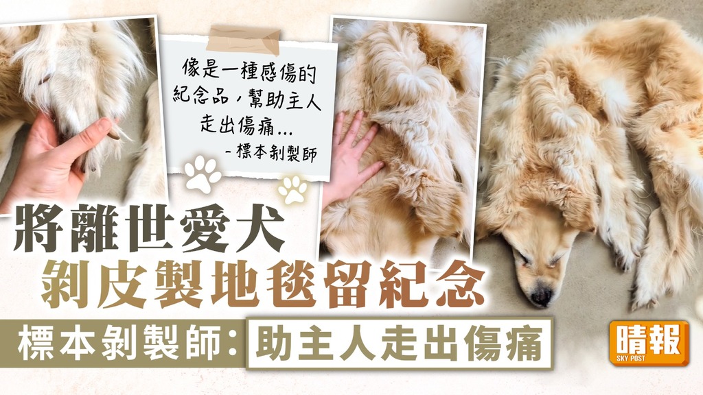 寵物離世 ︳將離世愛犬剝皮製地毯留紀念 標本剝製師：助主人走出傷痛