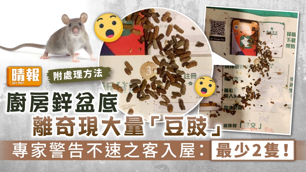 家居鼠患 ︳廚房鋅盆底離奇現大量「豆豉」 專家警告不速之客入屋：最少2隻！