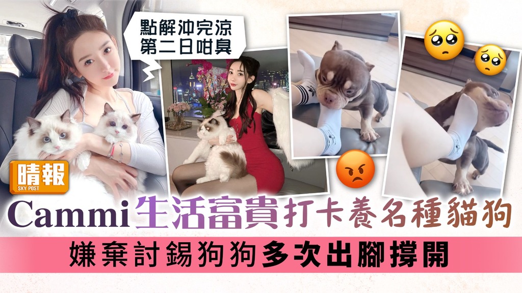 Cammi生活富貴打卡養名種貓狗 嫌棄討錫狗狗多次出腳撐開