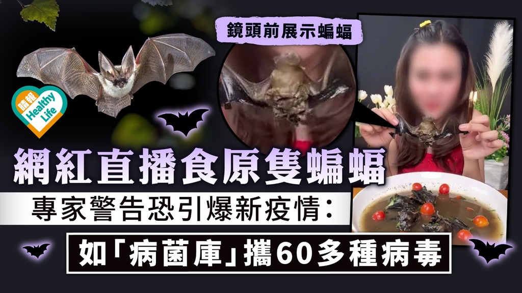 食得入口？︳網紅直播食原隻蝙蝠 專家警告恐引爆新疫情：如「病菌庫」攜伊波拉等60多種病毒