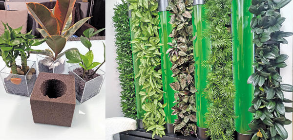 無土綠牆微藻吸碳 改善室內空氣 廢料取代泥土 延長植物壽命