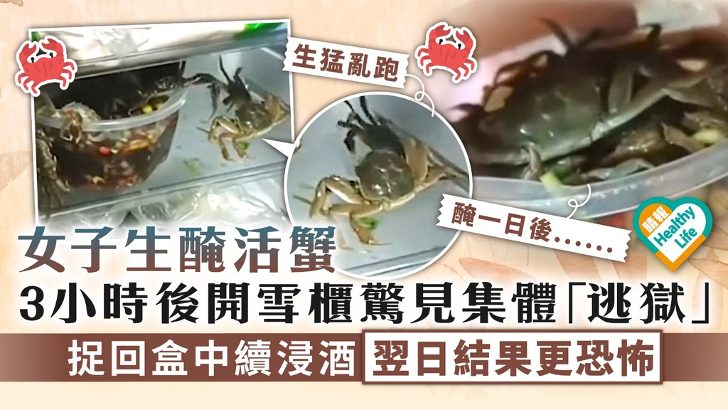 食用安全︳女子生醃活蟹 3小時後開雪櫃驚見集體「逃獄」 捉回盒中續浸酒翌日結果更恐怖
