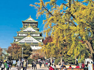 銀杏期開催 日本5大人氣黃葉景點