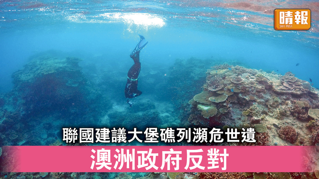 大堡礁｜聯國建議大堡礁列瀕危世遺 澳洲政府反對