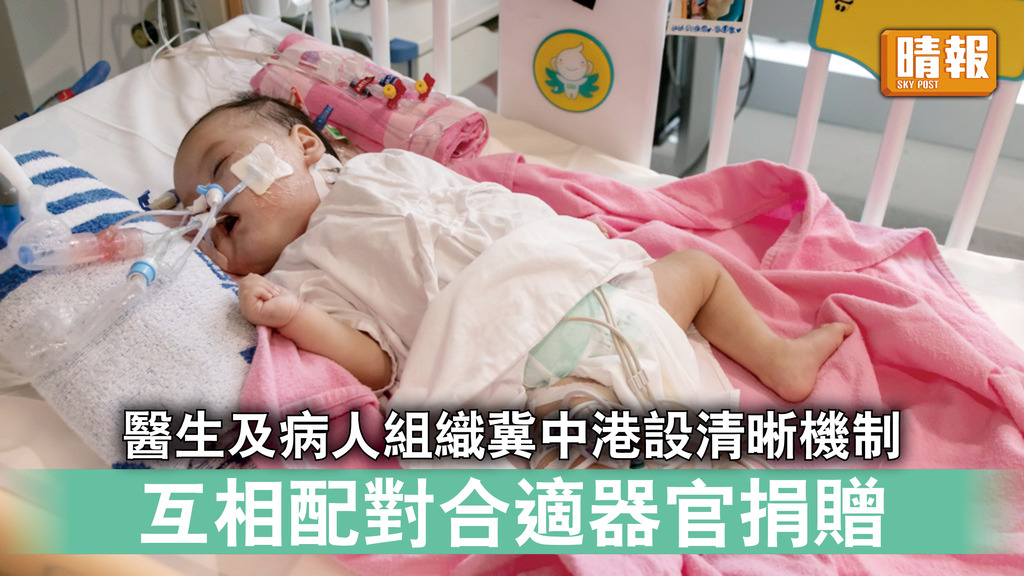 器官移植｜醫生及病人組織冀中港設清晰機制 互相配對合適器官捐贈