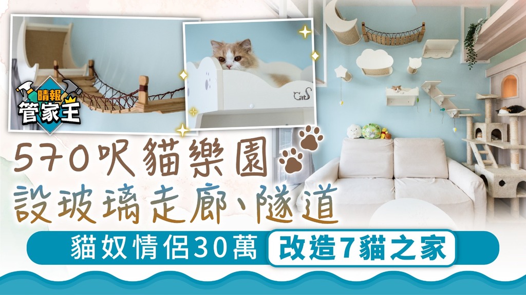管家王 ︳570呎貓樂園設玻璃走廊、空中走道 貓奴情侶30萬改造7貓之家