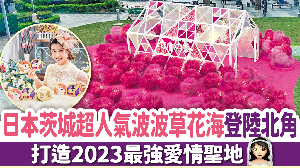 日本茨城超人氣波波草花海登陸北角 打造2023最強愛情聖地