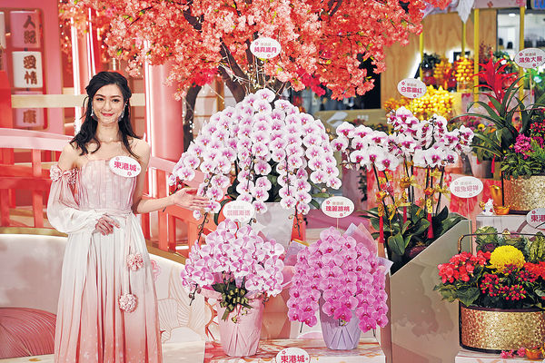 矜貴品種有價有市 生意有望升5% 年花售價料增1成