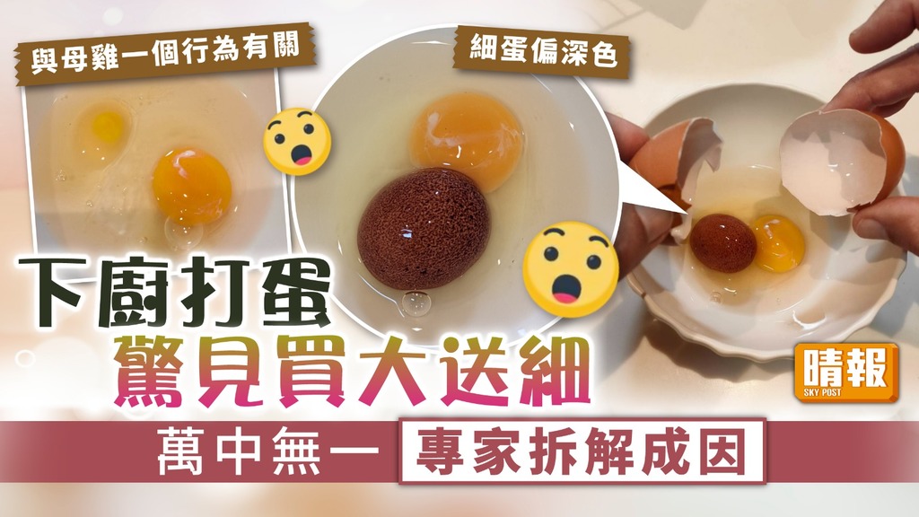 離奇現象 ︳下廚打蛋驚見買大送細 萬中無一專家拆解成因