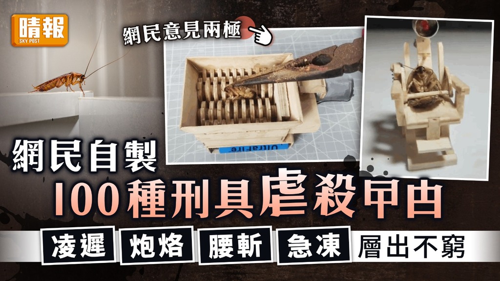 殘忍滅蟲｜網民自製100種刑具虐殺曱甴 凌遲炮烙腰斬急凍層出不窮