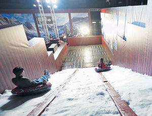 「團園賀年」設萌兔村 3米高真雪滑梯 海洋公園受惠通關 招聘350全職迎客