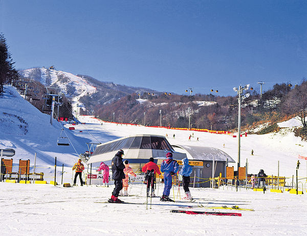 韓國江原道 滑雪玩樂體驗+酒店優惠