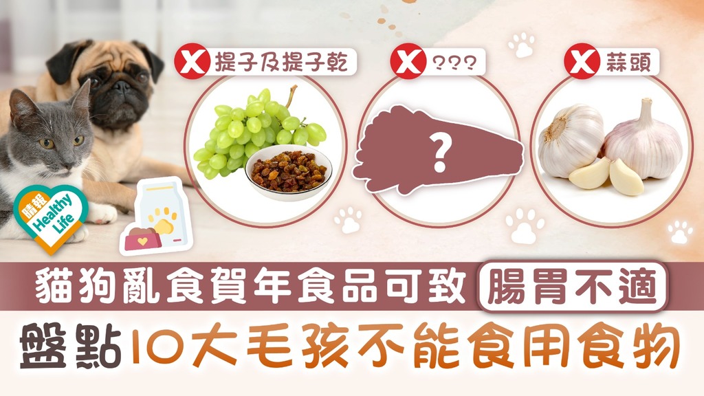 農曆新年︳貓狗亂食賀年食品可致腸胃不適 盤點10大毛孩禁食食物 提子堅果上榜