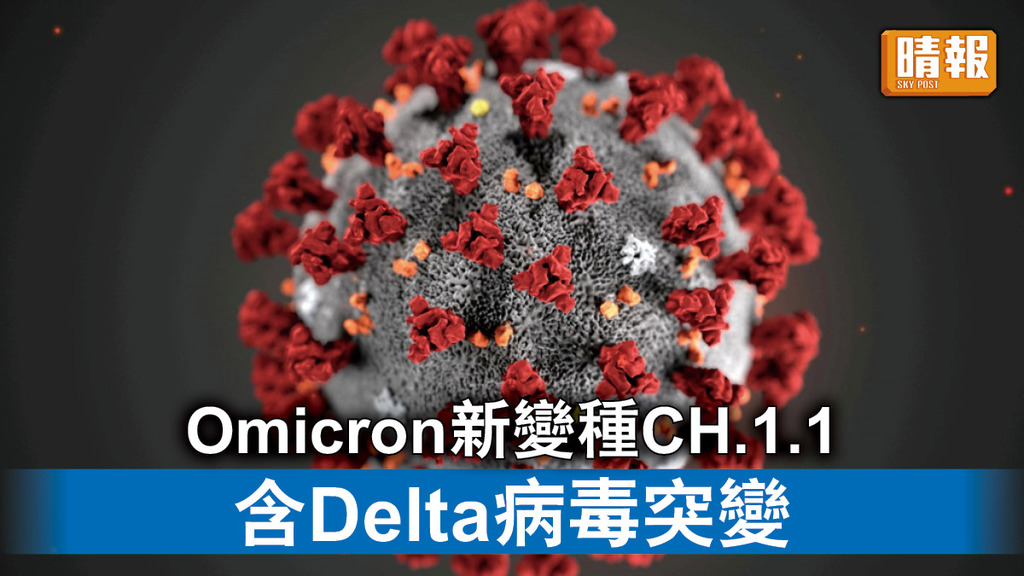 新冠病毒｜Omicron新變種CH.1.1含Delta病毒突變 美擬5.11結束新冠疫情緊急狀態