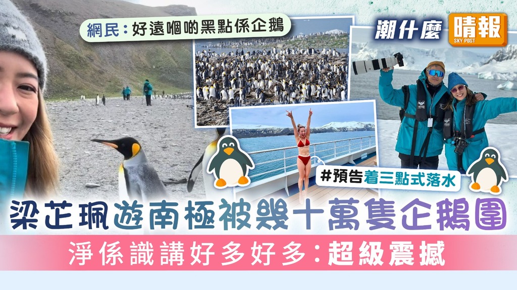 潮什麼︳梁芷珮遊南極被幾十萬隻企鵝圍 淨係識講好多好多：超級震撼