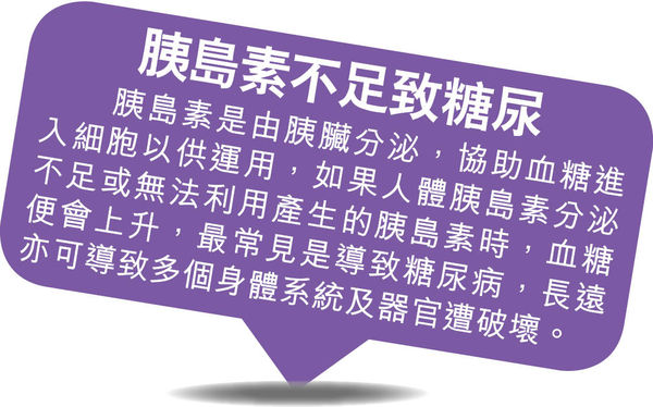 維持胰島素敏感性 健康長壽關鍵