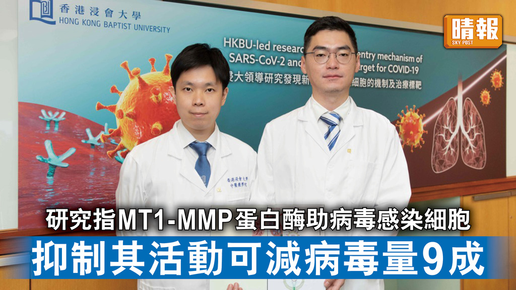 新冠病毒｜研究指MT1-MMP蛋白酶助病毒感染細胞 抑制其活動可減病毒量達9成