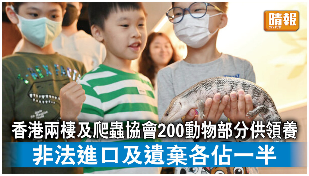 領養代替購買｜香港兩棲及爬蟲協會200動物部分供領養 非法進口及遺棄各佔一半