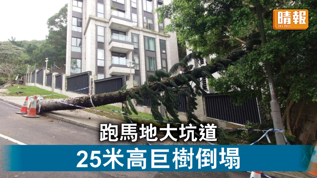 交通消息｜跑馬地大坑道25米高巨樹倒塌 警封行車綫及行人路待清理
