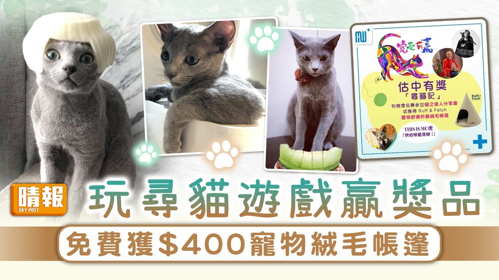 貓奴注意｜玩尋貓遊戲贏獎品 免費獲$400寵物絨毛帳篷