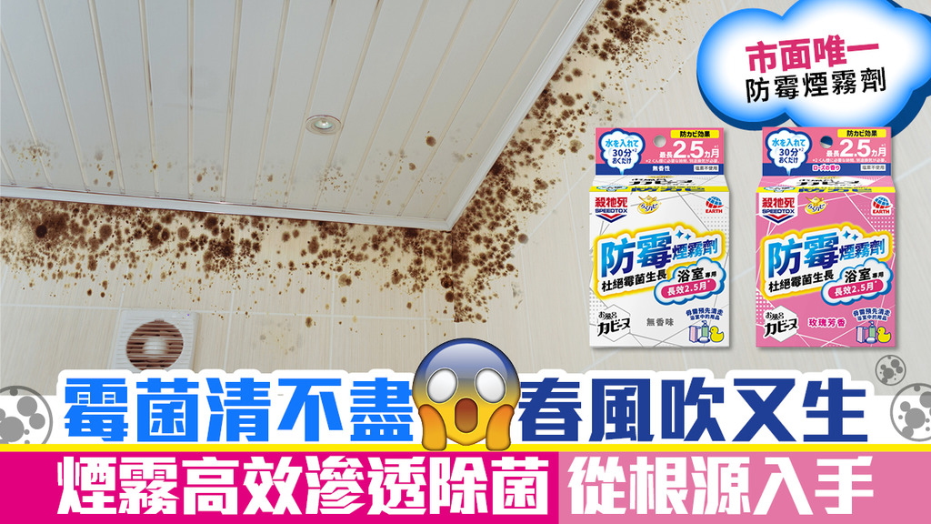 霉菌清不盡 春風吹又生 煙霧高效滲透除菌 從根源入手