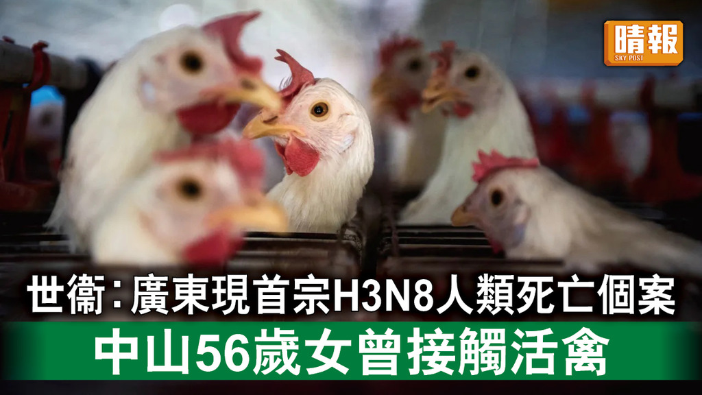 禽流感｜世衞︰廣東現首宗H3N8人類死亡個案 中山56歲女曾接觸活禽