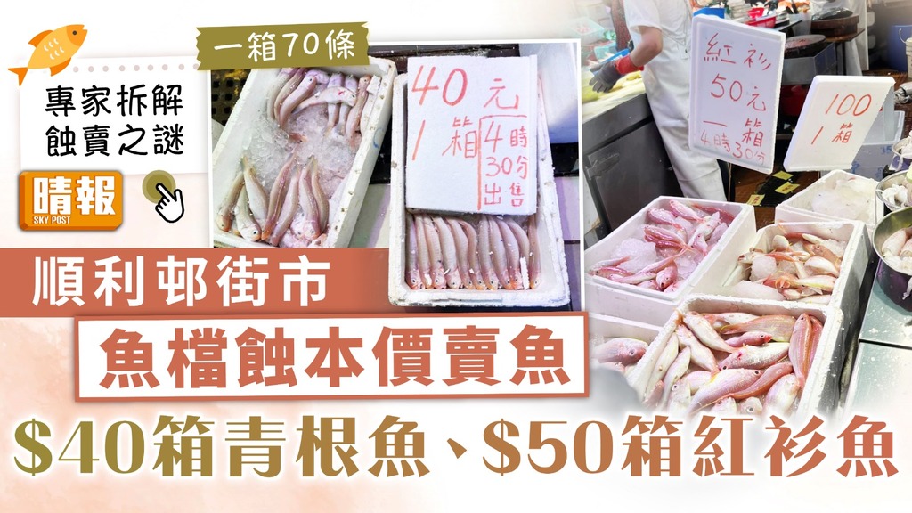 街市筍貨｜順利邨街市魚檔蝕本價賣魚 $40箱青根魚、$50箱紅衫魚【專家拆解蝕賣之謎】